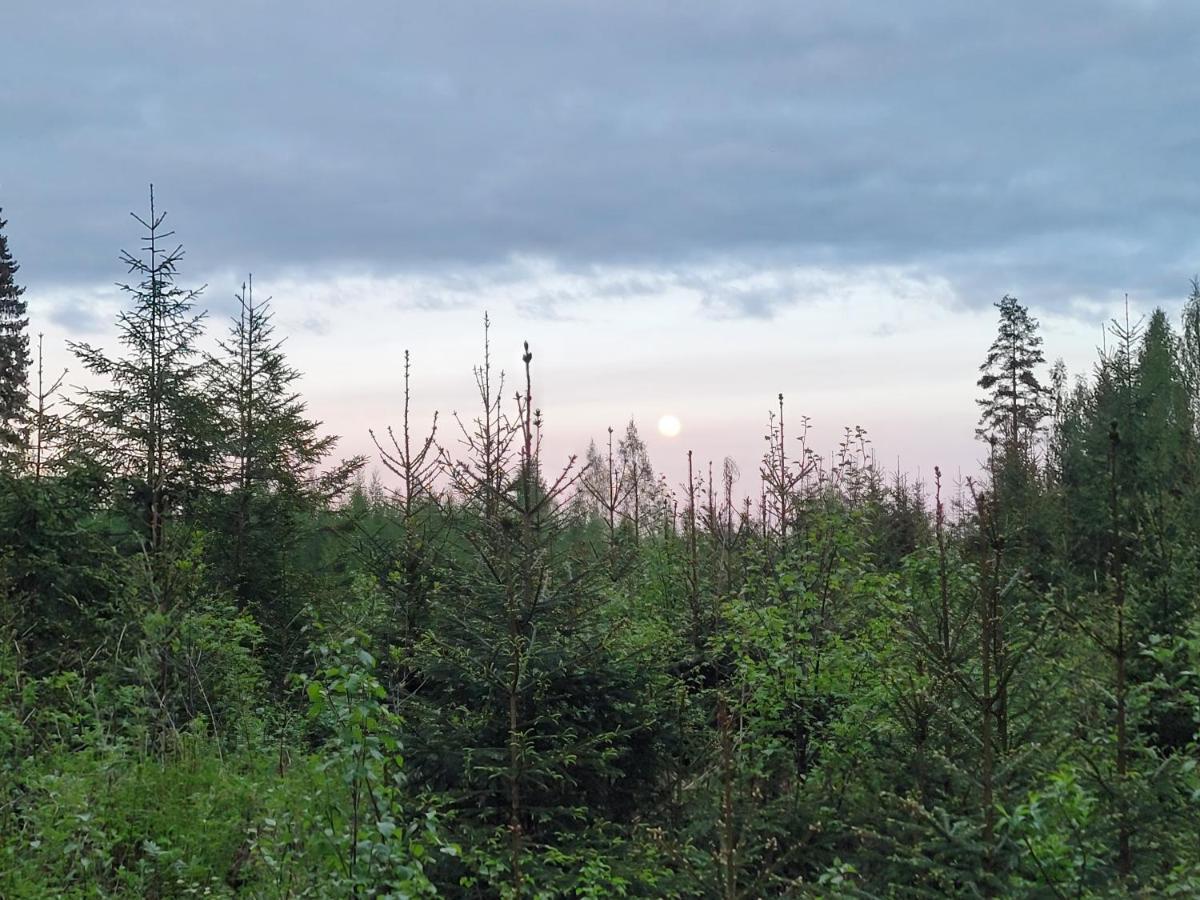 Vaelituvan Lomamoekit Punkaharju Exteriér fotografie